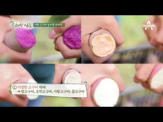 착한 고구마 농부 조정치를 소개합니다!