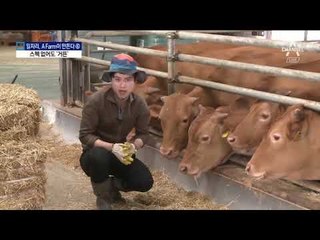 한우 사료 만들어 ‘억대 연봉 축산농’ 된 청년