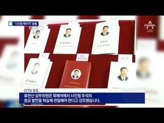 19차 당대회 앞둔 中…벌써부터 시진핑 찬양?