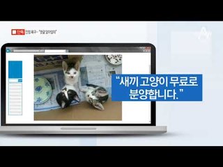[채널A단독]미공개 SNS 살펴보니…주범 심리 고스란히