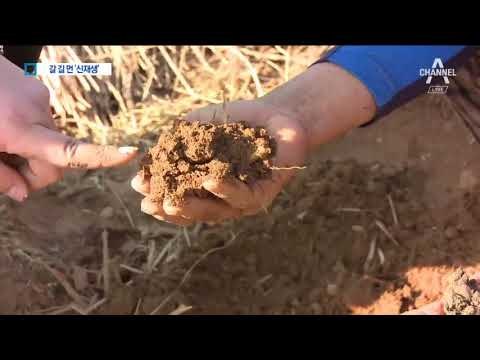 신재생에너지 현장 가보니…곳곳서 ‘몸살’