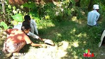 Children's comedy in village full video.इन लड़को ने की कमीन पन कि सारी हदें पार