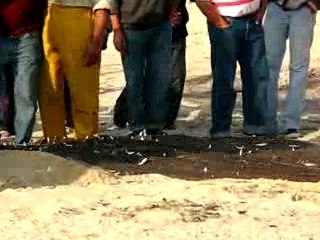 remontée du filet de pêche