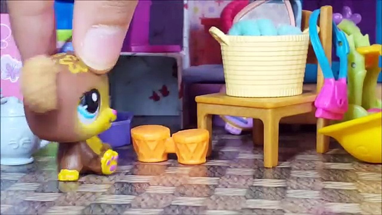 Minişler Sihirli Battaniye | LPSEM miniş videoları