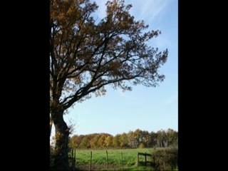 Paradize (v.1) (TAKU IWASAKI, "MAKUBEX")