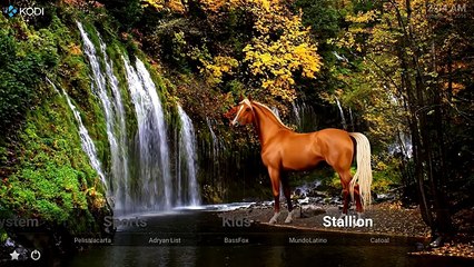 THE BEST BUILD FOR KODI SEPTEMBER 2016 - TIGER MAX BUILD