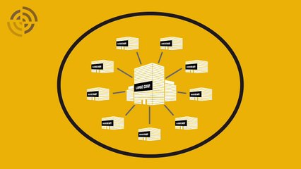 SAP Business ByDesign for Subsidiaries