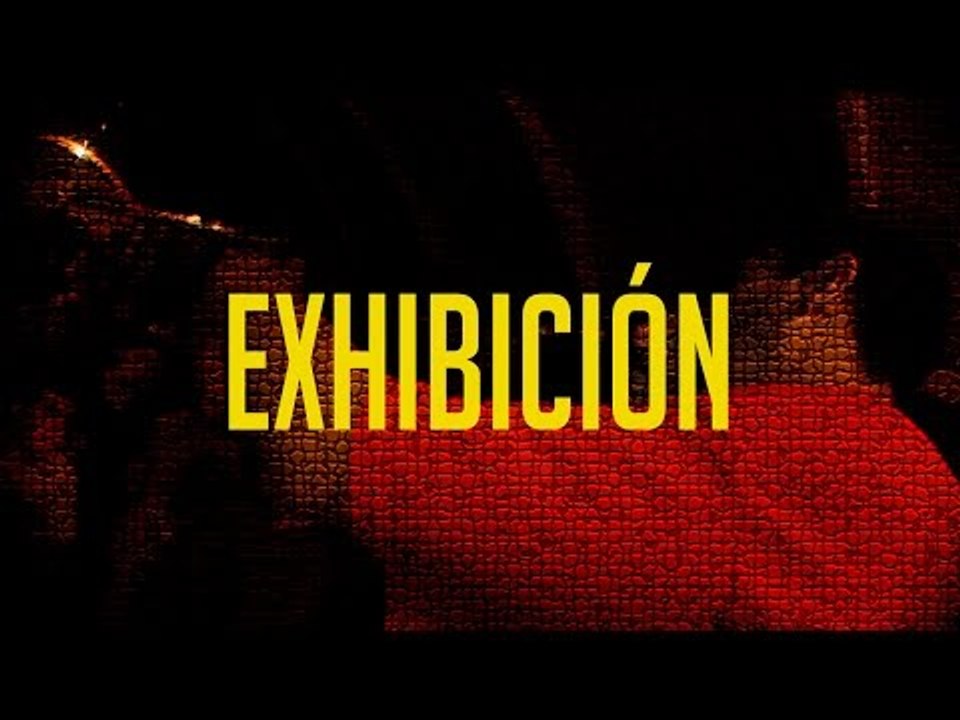 BDM Puerto Montt 2017 / Exhibición / Stigma - Ricto - Sador