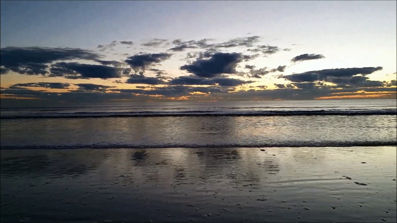 Laurie Anderson White Wale - Sunrise / Florida