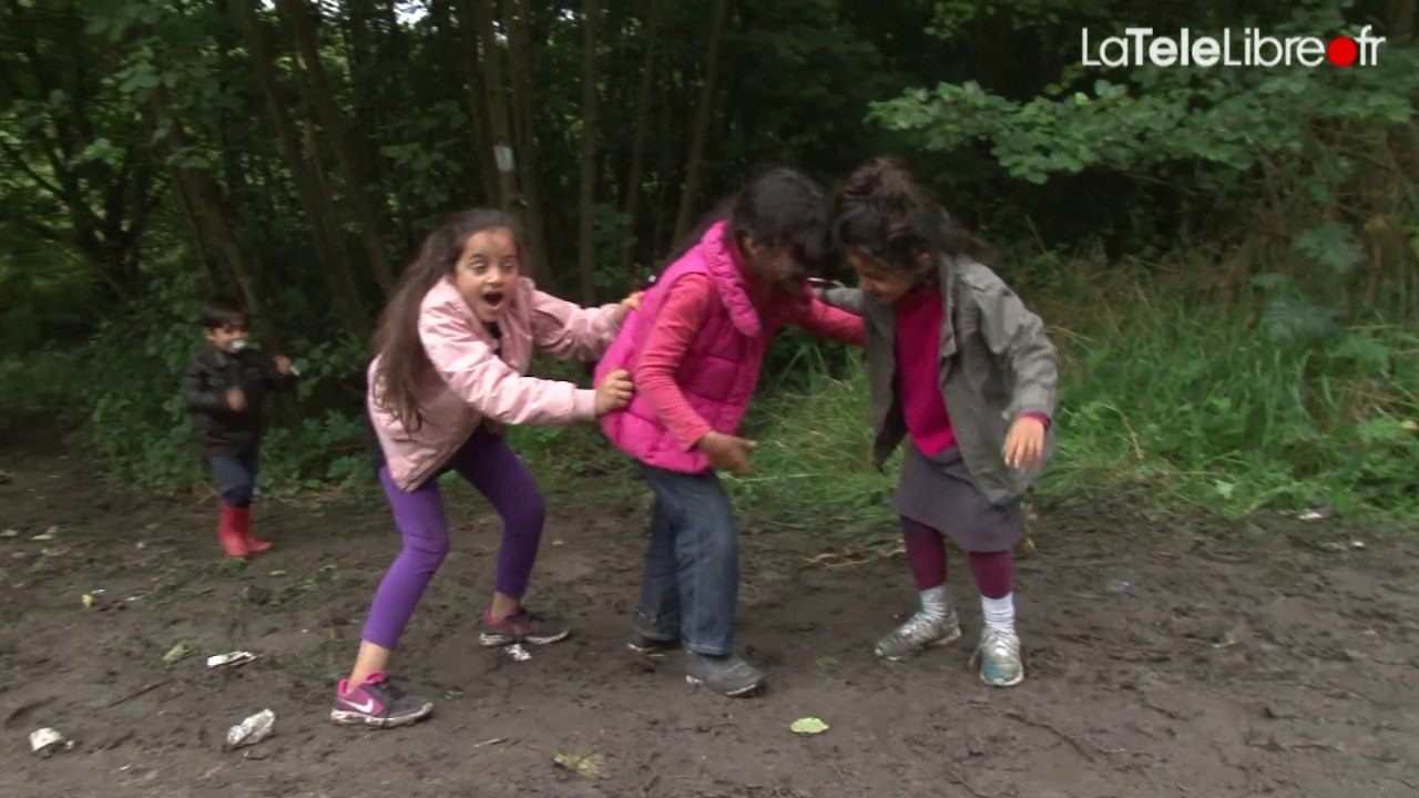 Dans Les Bois de Grande-Synthe