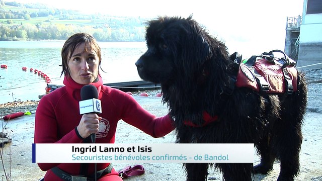 Le ZAP - Ces boules de poils sauvent des vies !