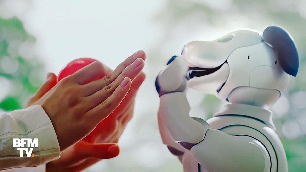 Aibo, le chien robot de Sony, est de retour