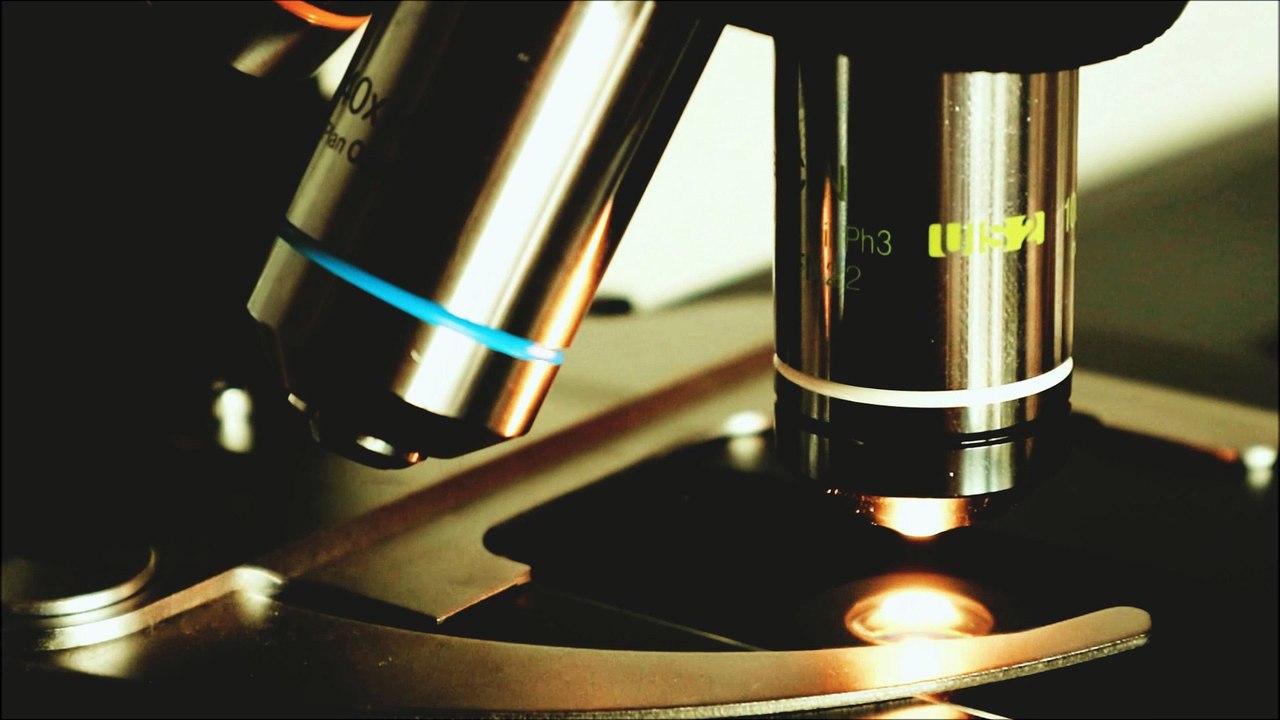 What happens when an immune cell finds trash in your blood?