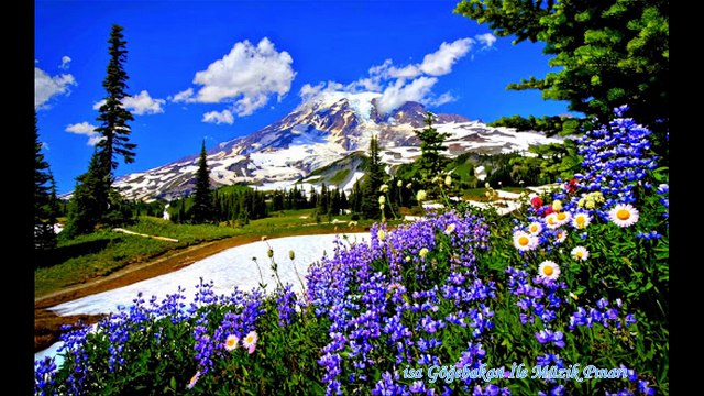 Bana Felek Vurmuş Birde Sen Vurma