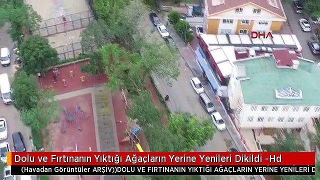 Dolu ve Fırtınanın Yıktığı Ağaçların Yerine Yenileri Dikildi -Hd
