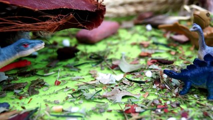 ЗЛЮЧКА ЗМЕЯ И МАЛЕНЬКИЙ ДИНОЗАВР! Мультик для детей. Советский мультик. Видео игрушки