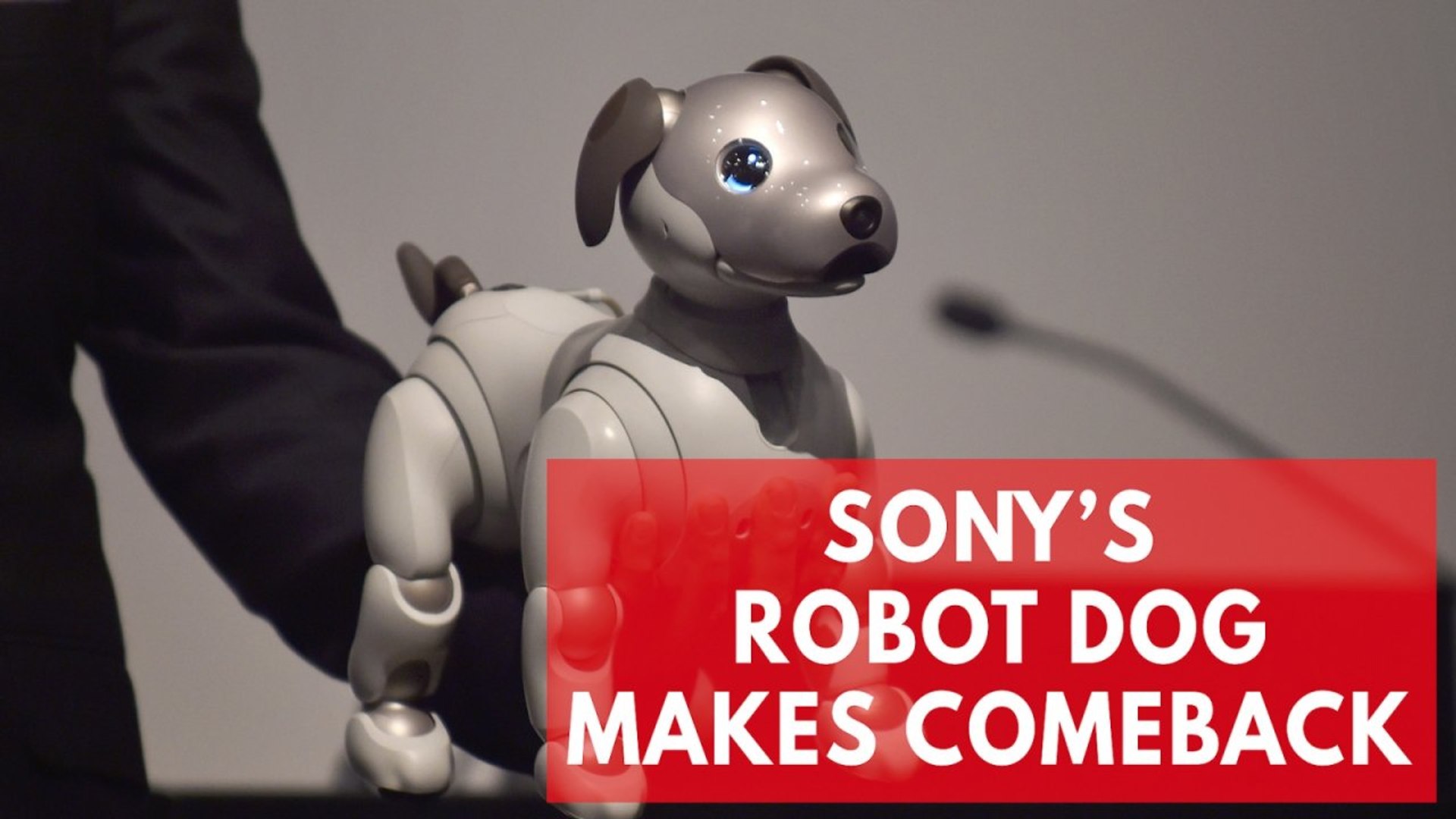 Sony's new Aibo robot dog is the cutest in AI technology