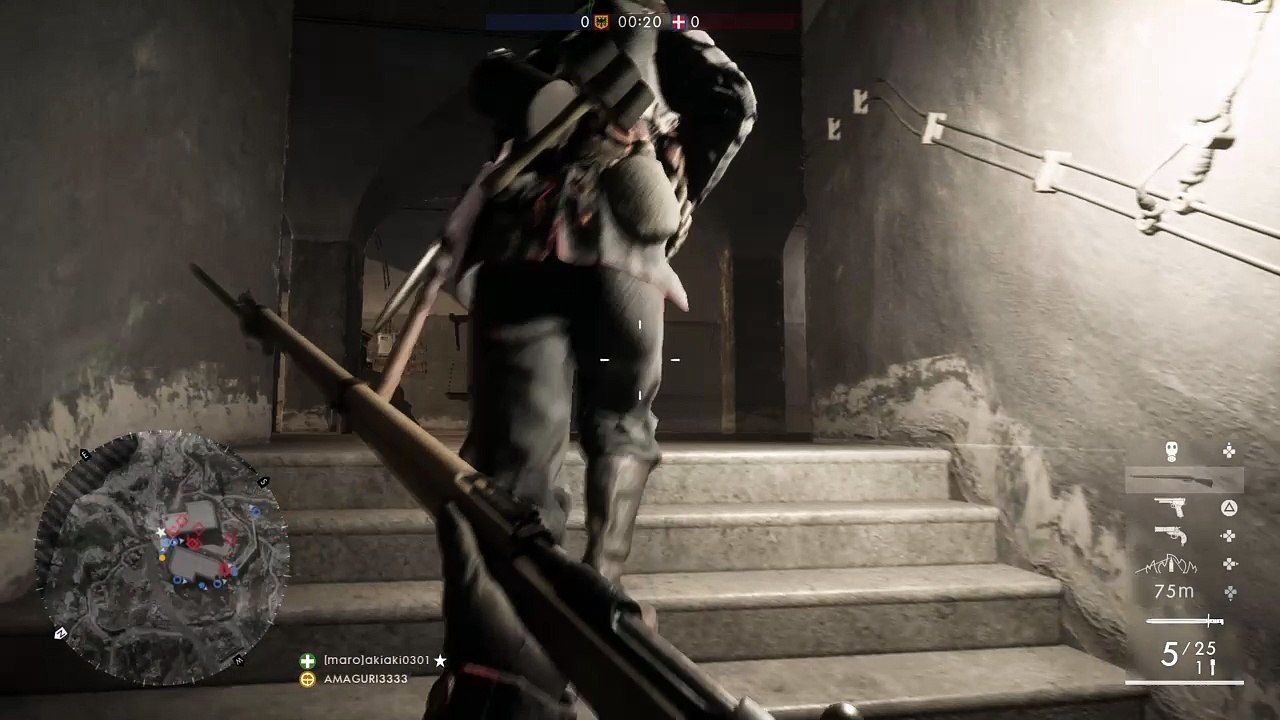 Battlefield™ 1  バグ