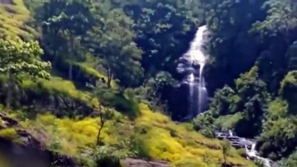 Bigfoot in Indonesian jungle