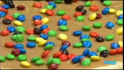 Pizza Paradise 2 on Travel Channel, Featuring Pizza Doctors