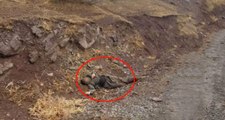 Şemdinli Şehitlerinin Kanı Yerde Kalmadı! 54 PKK'lı Terörist Öldürüldü