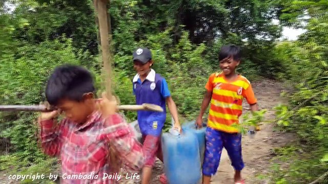Amazing Smart Children Catch Tree Snake Using Oil Tank Trap - How To Catch Tree Snake With