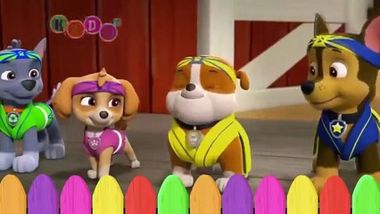 Thomas and Friends Race Roller Coaster ◕‿◕ KidsF