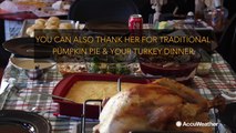 Fun facts about Thanksgiving