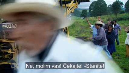 DIVLJAKUSA - 135.