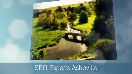 SEO Company In Ashville | Affordable Small Business SEO Services | PushLeads