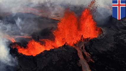 Flight chaos fears as Bardarbunga volcano hit by four tremors