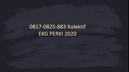 0817-0825-883 Kolektif  Pelatihan EKG PERKI 2020