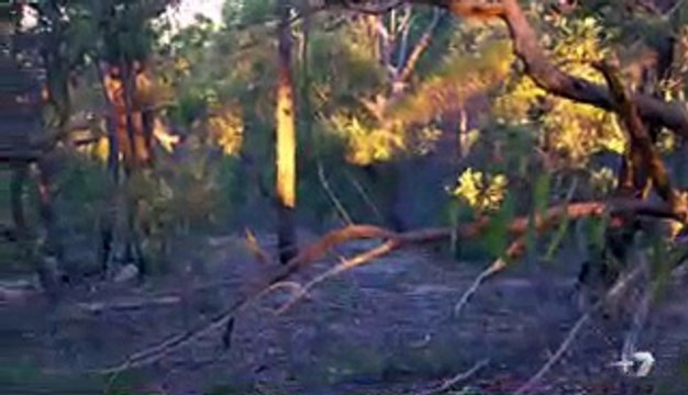 Home and Away 6769 2nd November 2017