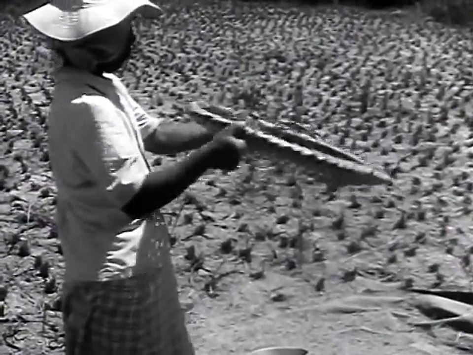 Okinawa_ Bastion in the Pacific circa 1959