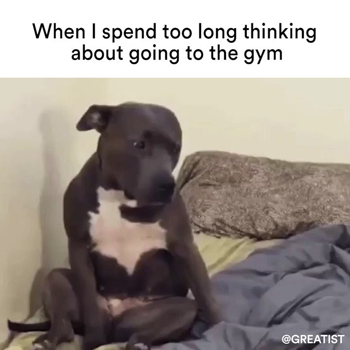 Prob just going to stay here