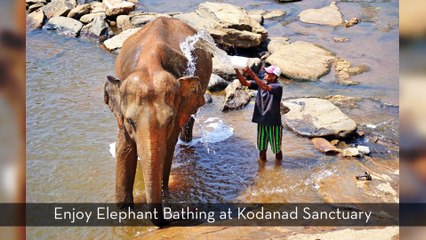 Unique Experiences In Kerala