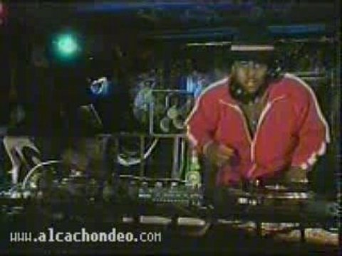 pub - biere - heineken - le scratching