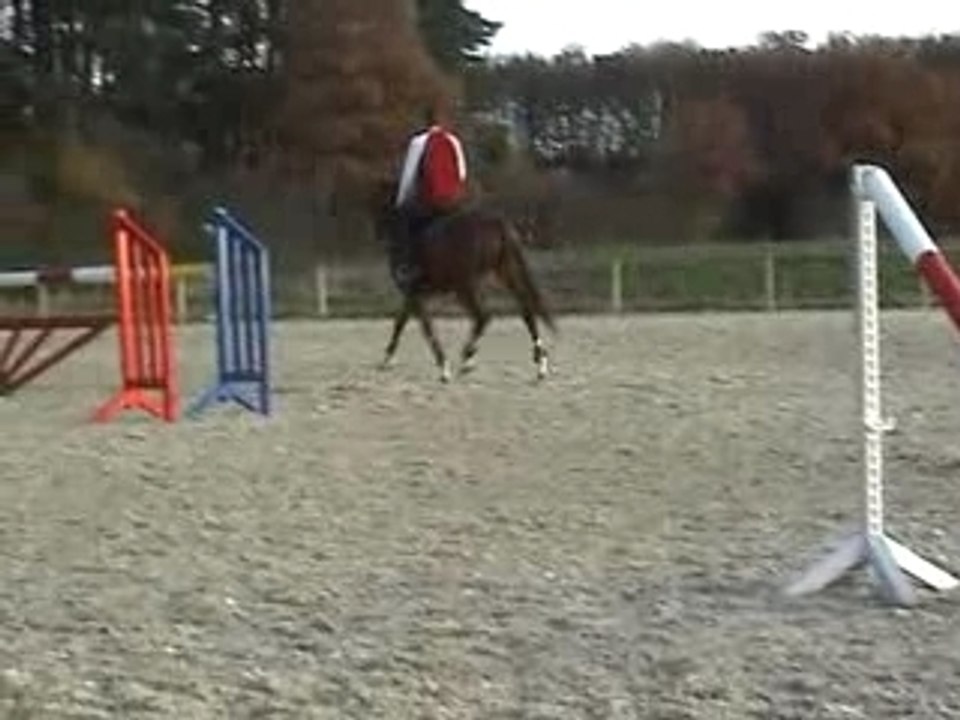 Kali de l'aer trot moyen