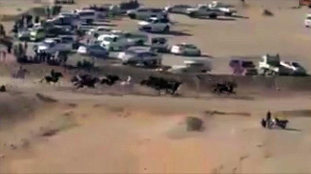 Horse Racing Goes Wrong