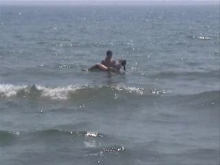 Pas d'alerte a malibu