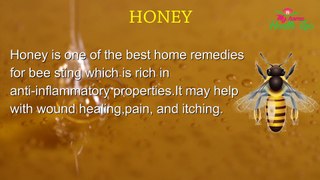 How To Treat Bee Sting, Home Remedy, Treatment & Precautions