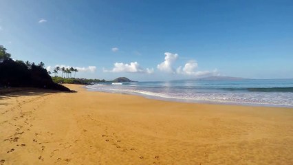 Maui Professional Family and Wedding Photography