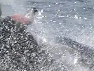 Scooter des mers Yamaha 1200  Grenoble