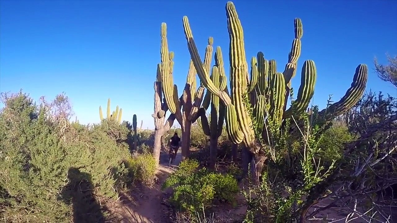 Book fun Corporate Events in San Francisco