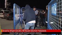 Sivas'ta Afgan Uyruklu 38 Kaçak Göçmen Yakalandı.