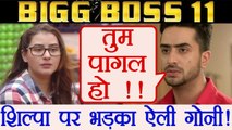 Bigg Boss 11: Yeh Hai Mohabbatein Actor Aly Goni calls Shilpa Shinde PSYCHO | FilmiBeat