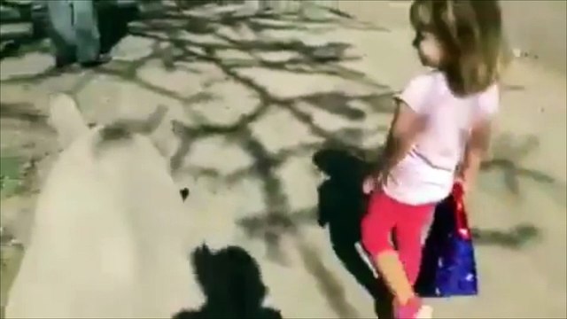 Cette petite fille ne s'attendait pas à faire une balade avec lui !