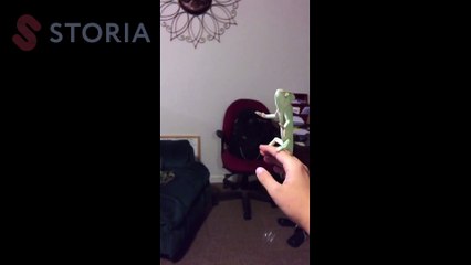 Balon patlatan bukalemun yapmışlar