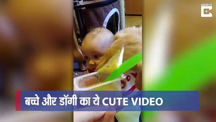 डॉग को कभी बच्चे का मुँह साफ़ करते हुए देखा है