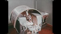 Sovyetler Birliği'nin 60 yıl önce uzaya gönderdiği ilk canlı: Layka köpek